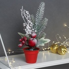 Новогодняя композиция на стол «Зимнее волшебство. Яркий праздник», в горшке, 24×7 см - Фото 2