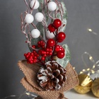 Новогодняя композиция на стол «Зимнее волшебство. Яркий праздник», в мешочке, 25×10 см - фото 60150949