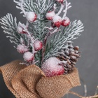 Новогодняя композиция на стол «Зимнее волшебство. Яркий праздник», в мешочке, 26×10 см - Фото 2