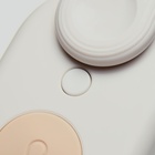 Паровая щетка-расчёска для животных, с USB-зарядкой и выдвижной ручкой, белая - Фото 12