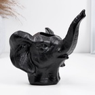 Кашпо - ваза «Слон», 13×12×15 см, 180 мл, чёрный  (артикул 10631598)  большой выбор товаров оптом и в розницу по низким ценам с доставкой