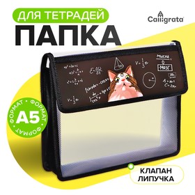 Папка для тетрадей А5 (230 х 190 х 50 мм), с клапаном на липучке, пластик/текстиль, Calligrata, "Умный кот" 10128086