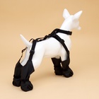 Ботинки - чулки для собак, размер S (Длина лап 30-35, ДС 16-22, ОШ 12-40 см) черные - Фото 2