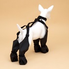 Ботинки - чулки для собак, размер M (Длина лап 35-42, ДС 18-26, ОШ 16-50 см) черные - Фото 2