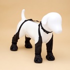 Ботинки - чулки для собак, размер L (Длина лап 41-50, ДС 18-28, ОШ 16-60см) черные - Фото 1