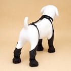 Ботинки - чулки для собак, размер L (Длина лап 41-50, ДС 18-28, ОШ 16-60см) черные - фото 25550803