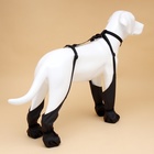 Ботинки - чулки для собак, размер XL (Длина лап 46-62, ДС 20-32, ОШ 26-64 см) черные - Фото 2