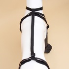 Ботинки - чулки для собак, размер XL (Длина лап 46-62, ДС 20-32, ОШ 26-64 см) черные - фото 25550810