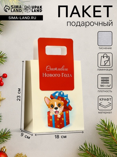 Пакет подарочный новогодний, с вырубной ручкой «Лучший подарок» 18×23×9 см
