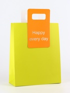 Пакет подарочный ламинированный с вырубной ручкой, 26×32×10 см, лайм - Фото 1