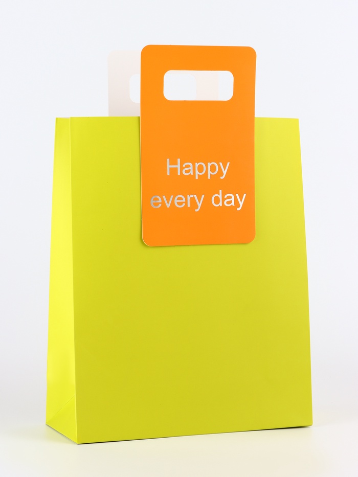 Пакет подарочный ламинированный с вырубной ручкой, 26×32×10 см, лайм - Фото 1