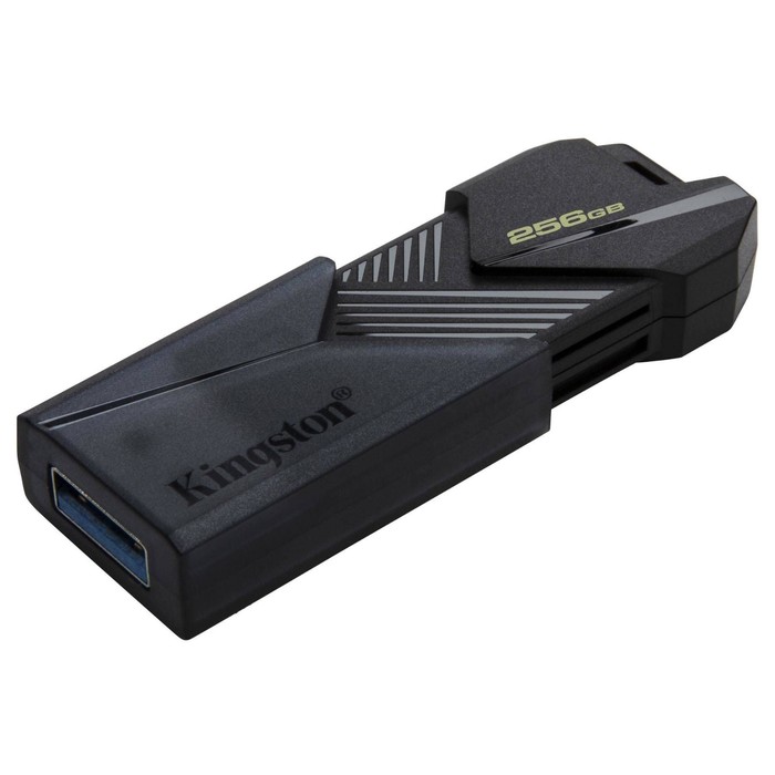 Флешка Kingston 256GB DataTraveler Exodia Onyx DTXON/256GB USB3.2 черный - фото 51659255