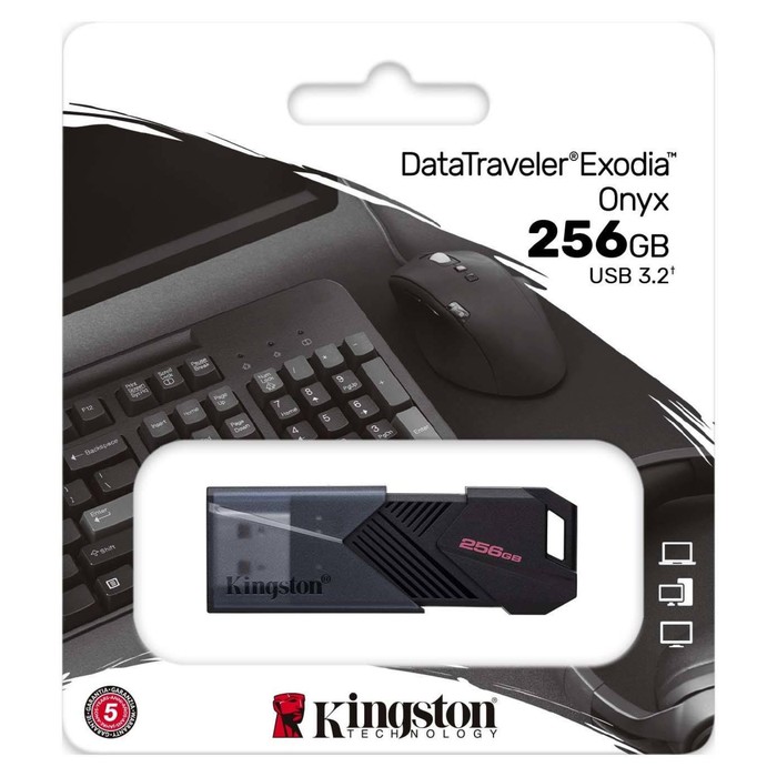 Флешка Kingston 256GB DataTraveler Exodia Onyx DTXON/256GB USB3.2 черный - фото 51659256