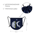 Мешок для обуви или волейбольного мяча ONLYTOP, 42×42 см - Фото 2