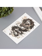 Переводная тату на тело цветная «Облачный чёрный дракон», 12?19 см (комплект 2 шт) - фото 42933962 Переводная тату на тело цветная «Облачный чёрный дракон», 12?19 см (комплект 2 шт) - фото 42933962