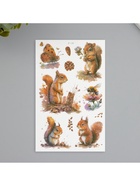 Переводные тату на тело светящиеся с блёстками «Бельчонок», 7.5?12 см (комплект 2 шт) - фото 42933990 Переводные тату на тело светящиеся с блёстками «Бельчонок», 7.5?12 см (комплект 2 шт) - фото 42933990