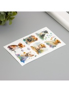 Переводная тату на тело светящиеся с блёстками «Собачки», 7.5?12 см (комплект 2 шт) - фото 42934011