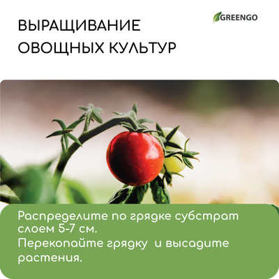 Субстрат кокосовый, универсальный, для террариумов и растений, в брикете, 25 л, Greengo