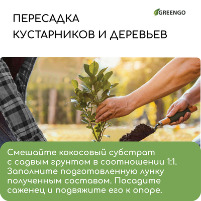 Субстрат кокосовый, универсальный, для террариумов и растений, в брикете, 25 л, Greengo