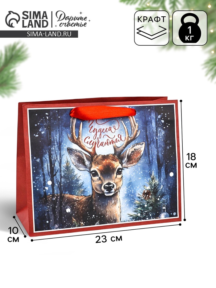 Пакет подарочный новогодний крафтовый, «Чудеса случаются», 23×18×10 см - Фото 1