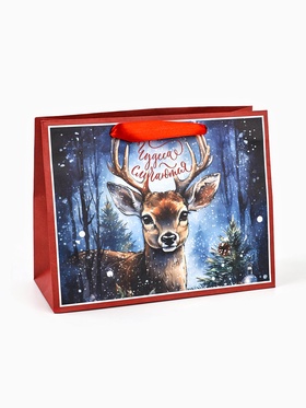 Пакет подарочный новогодний крафтовый, «Чудеса случаются», 23?18?10 см (комплект 3 шт)