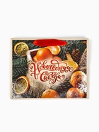 Пакет бумажный, "Новогодняя сказка", 24 х 20 х 11 см - фото 809234801 Пакет бумажный, "Новогодняя сказка", 24 х 20 х 11 см - фото 809234801