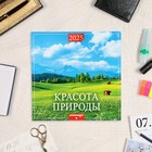 Календарь перекидной на скрепке "Красота природы" 2025 год, 12 листов, 29х29 см 10620288 - фото 312516124