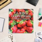 Календарь перекидной на скрепке "Сад и огород. Лунный календарь" 2025 год, 6 листов, 29х29 с 1062031 - фото 321960458