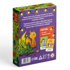 Новогодняя настольная игра «Новый год: Мемо. С фантами», 60 карт, 6+ - Фото 5