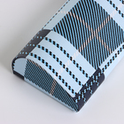 Футляр для очков на магните, в клетку, размер 16×6×3.3 см, голубой - Фото 4