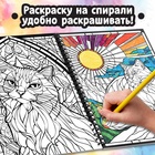 Раскраска - антистресс «Кэтсбук», 100 картинок, формат А4 - Фото 2