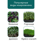 Коврик из кокосового волокна, для выращивания микрозелени, 50×25 см, Greengo - Фото 11