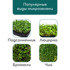 Коврик из кокосового волокна, для выращивания микрозелени, 50×25 см, Greengo - Фото 13