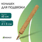 Колышек для подвязки растений, h = 50 см, d = 5 см, кокос, Greengo 10337945 - фото 13451081