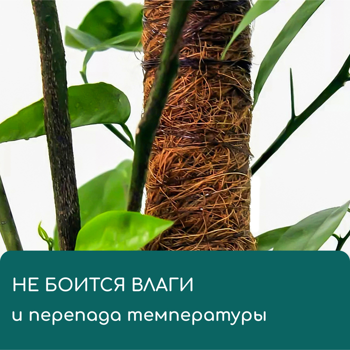 Опора для подвязки растений, h = 50 см, d = 5 см, кокосовая, Greengo