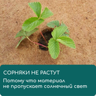 Круг приствольный, d = 0,25 м, из кокосового полотна, Greengo 10337947 - фото 13842818