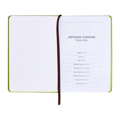 Ежедневник недатированный А5, с хлястиком, 140 листов, в клетку, кожзам, зеленый