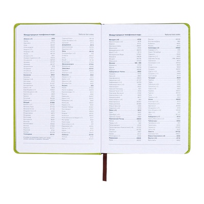 Ежедневник недатированный А5, с хлястиком, 140 листов, в клетку, кожзам, зеленый