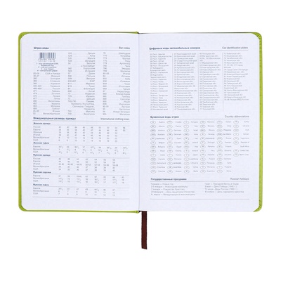 Ежедневник недатированный А5, с хлястиком, 140 листов, в клетку, кожзам, зеленый