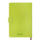 Ежедневник недатированный А5, с хлястиком, 140 листов, в клетку, кожзам, зеленый 10536938