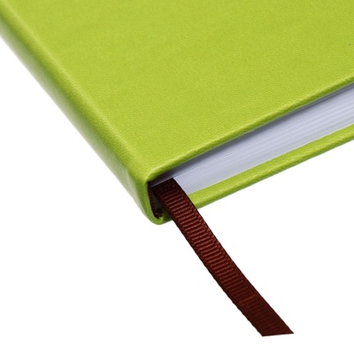 Ежедневник недатированный А5, с хлястиком, 140 листов, в клетку, кожзам, зеленый