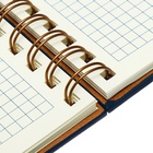 Ежедневник недатированный А5, 80 листов, в клетку, на гребне, обложка кожзам, с хлястиком, синий 10536979