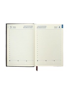 Ежедневник полудатированный «Крокодил», А5, 192 листа, с линейкой, обложка из искусственной кожи, золотой срез, чёрный 10536982