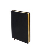 Ежедневник полудатированный «Крокодил», А5, 192 листа, с линейкой, обложка из искусственной кожи, золотой срез, чёрный - Фото 6