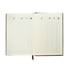 Ежедневник полудатированный «Крокодил», А5, 192 листа, с линейкой, обложка из искусственной кожи, золотой срез, коричневый 10536983