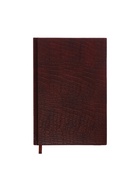 Ежедневник полудатированный «Крокодил», А5, 192 листа, с линейкой, обложка из искусственной кожи, золотой срез, коричневый - Фото 5