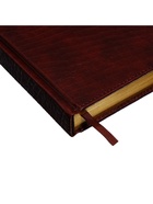 Ежедневник полудатированный «Крокодил», А5, 192 листа, с линейкой, обложка из искусственной кожи, золотой срез, коричневый - Фото 8