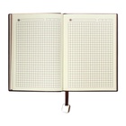 Ежедневник недатированный, B6, 116 листов, клетка, обложка кожзам, коричневый срез, синий 10537026