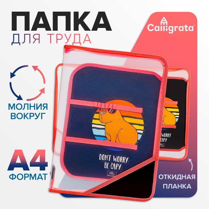 

Папка д/труда А4 молния вокруг/откидная планка пластик ПТР-1 Calligrata дев "Be capy"