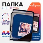 Папка для труда А4, 325 х 230 х 25 мм, молния вокруг, откидная планка, пластиковая, ПТР-1, Calligrata "Аниме снимок" 10128132 - фото 13390718